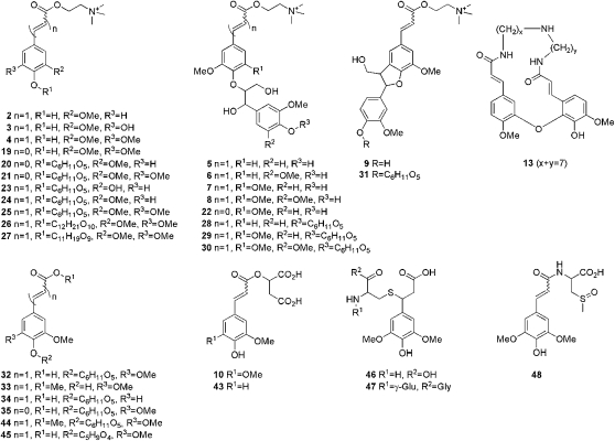 Figure 5.