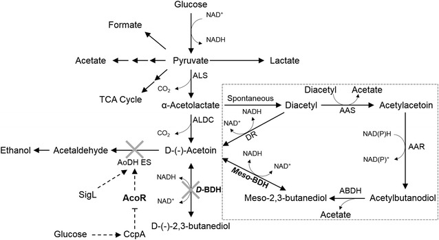 Fig. 1