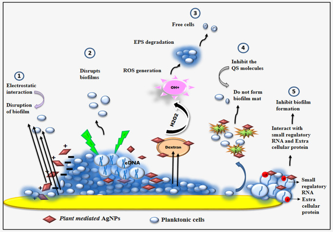 Fig 12