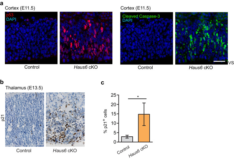 Figure 2—figure supplement 2.