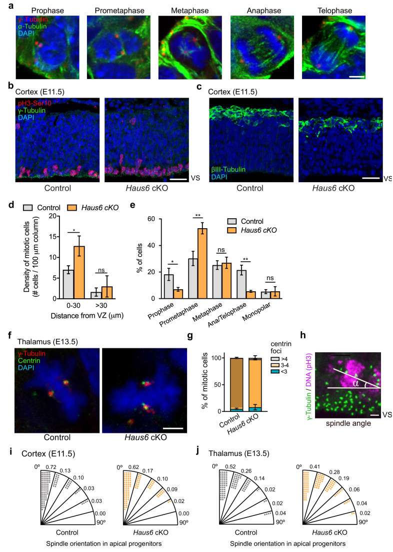 Figure 2—figure supplement 1.