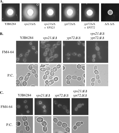 FIG. 3.