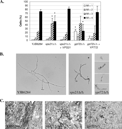 FIG. 8.