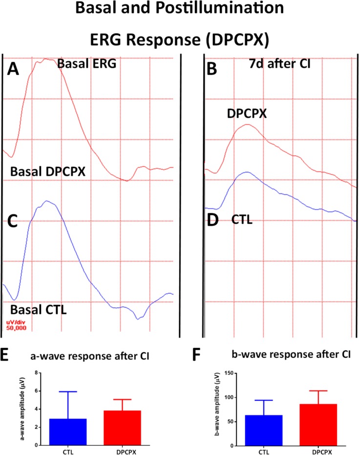 Fig 10