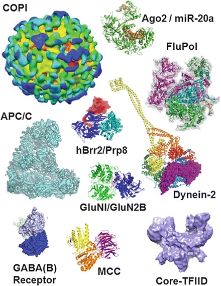 Fig. 13.6