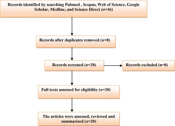 Figure 1