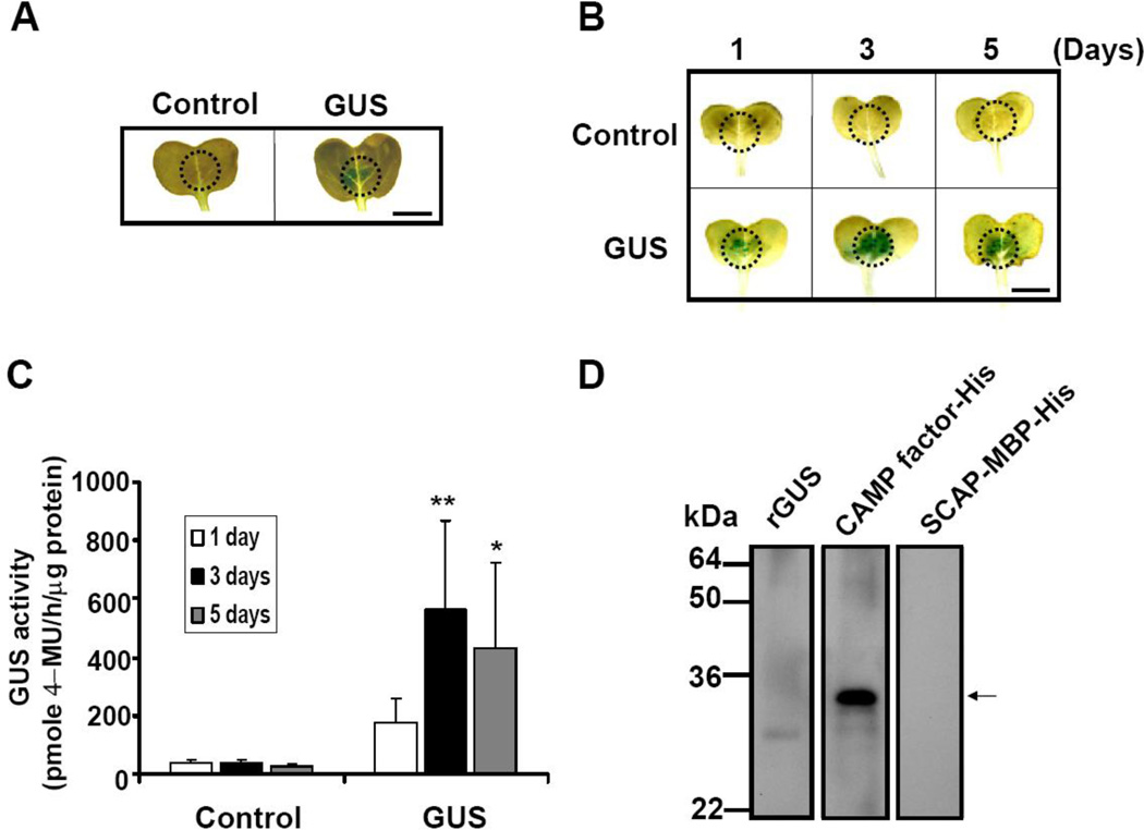 Fig. 2