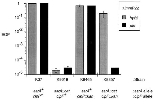 FIG. 6