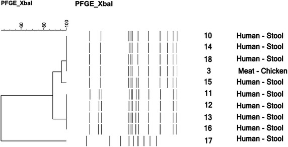 Figure 2