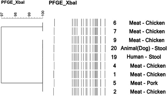 Figure 1