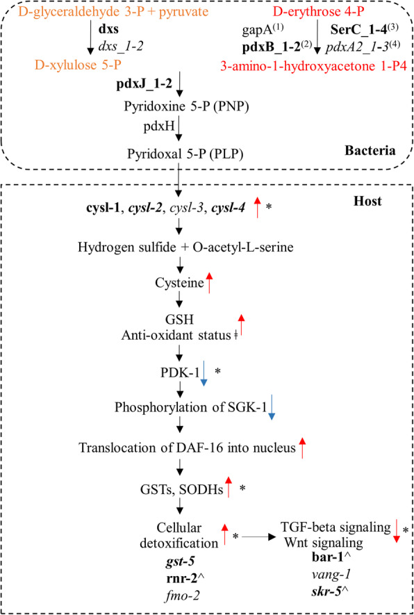 Fig. 7