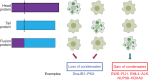 Figure 4. Alteration of phase-separation behavior by fusion proteins. Fusion proteins (bottom) formed by aberrant joining of head protein (top) and tail protein (middle) at their breakpoints (dash lines). The corresponding phase-separation phenotype (loss or gain of condensates) for each of these proteins are shown on the right. Each column of cell images represents one group for comparative purpose (cells harboring fusion proteins or their corresponding head or tail parent proteins). Specific examples for the gain or loss of condensates from literature are also shown.