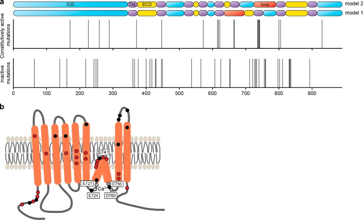 FIGURE 7.