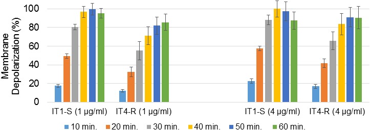 FIGURE 3