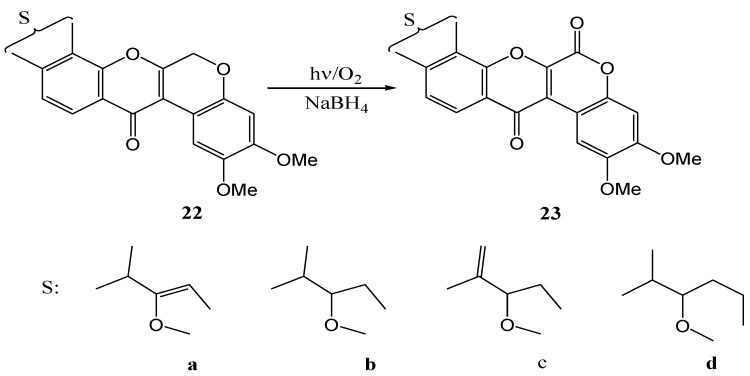 Scheme 8