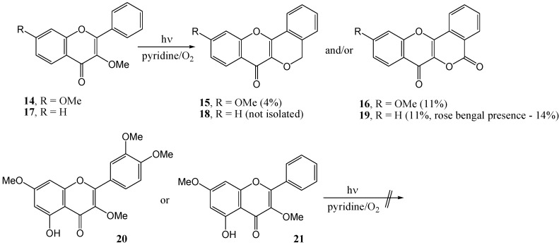 Scheme 5