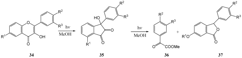 Scheme 14