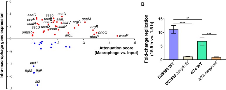 Fig 5