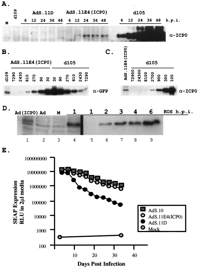 FIG. 6