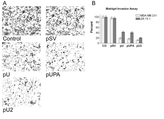 Figure 4: