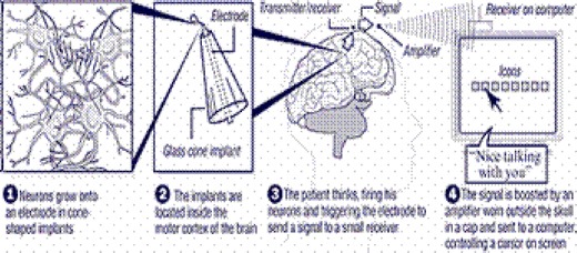 Fig. 12