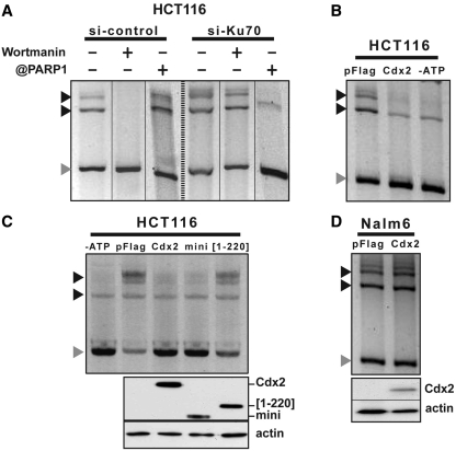 Figure 4.