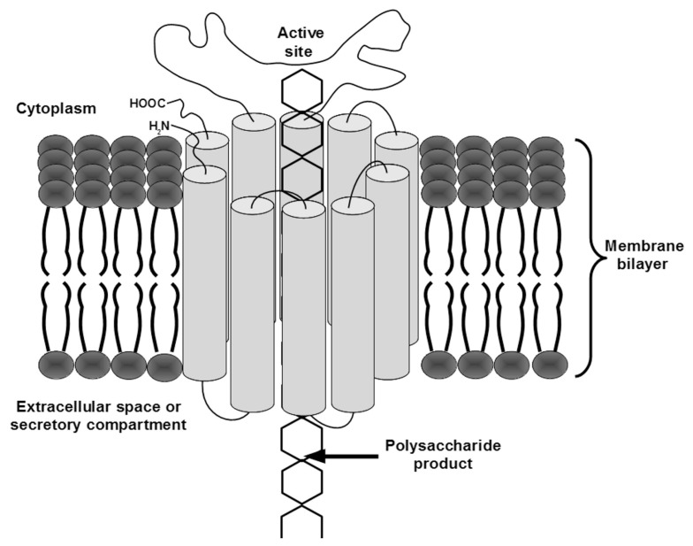 FIGURE 1