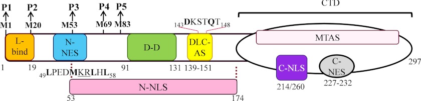 FIGURE 1.