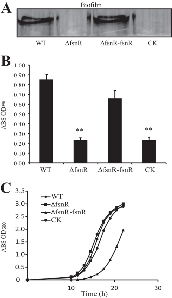 FIG 4