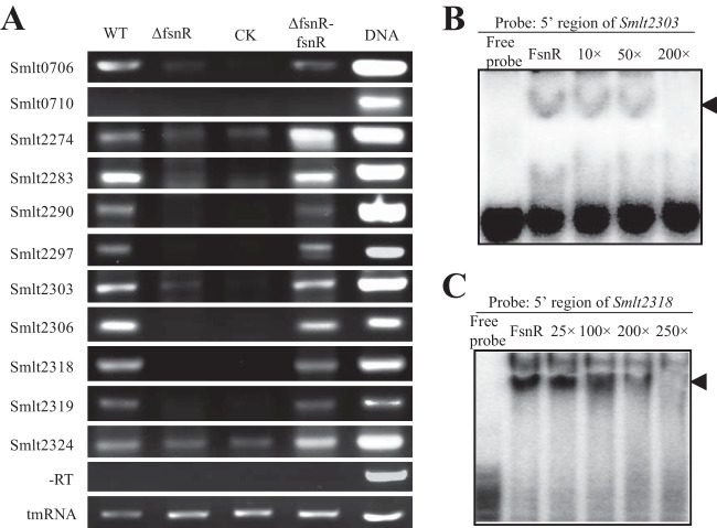 FIG 6