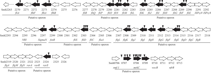 FIG 3