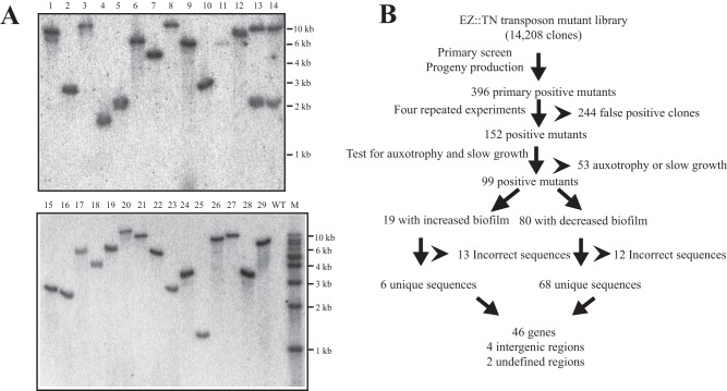 FIG 1