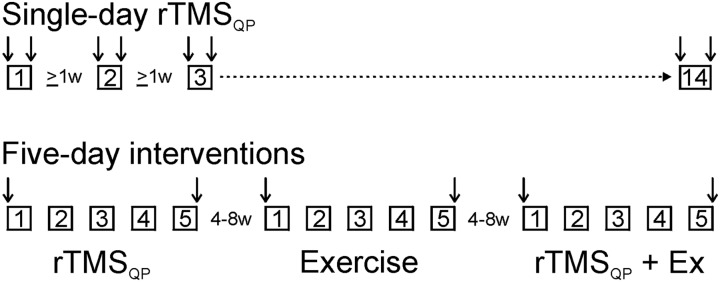 Figure 1 