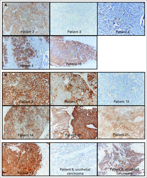 Fig A2.