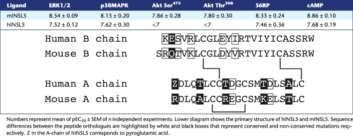 graphic file with name BPH-174-1077-g008.jpg