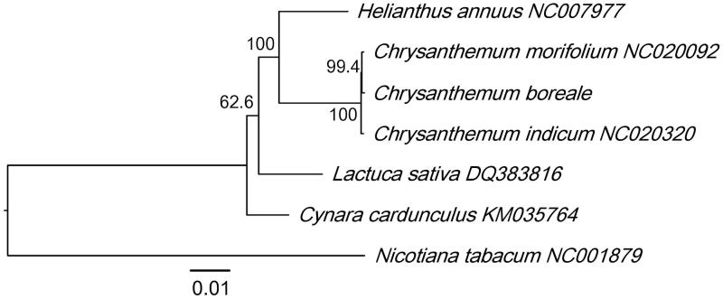 Figure 1.