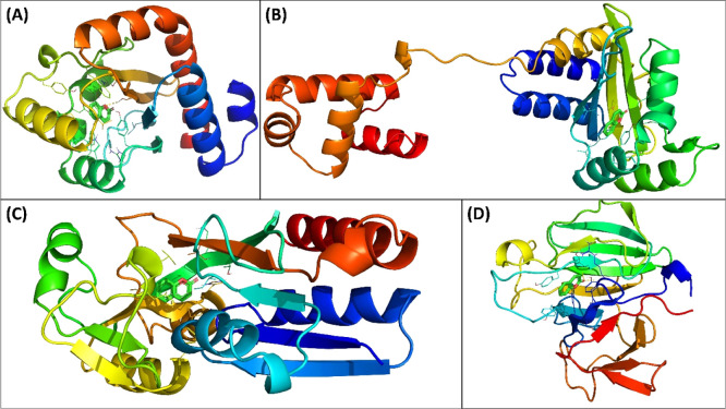 Figure 5