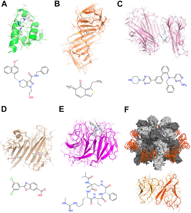 FIGURE 1