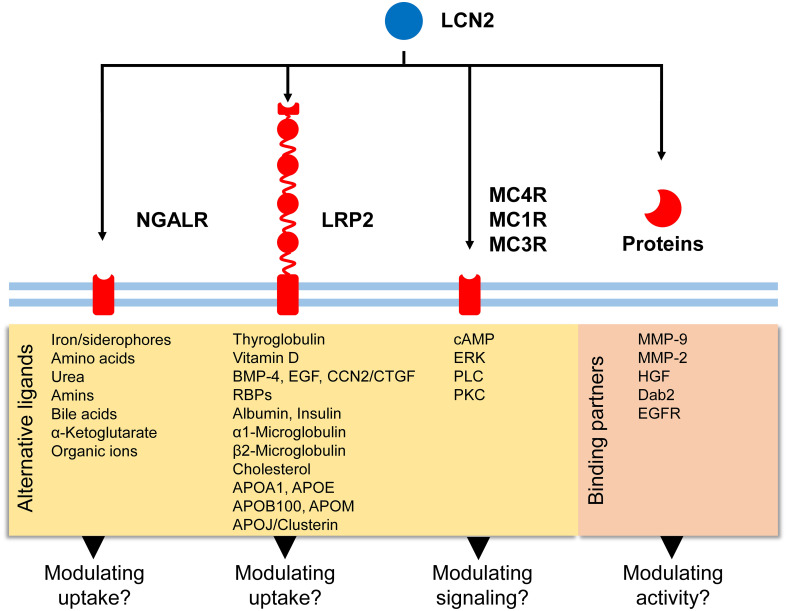 Figure 3