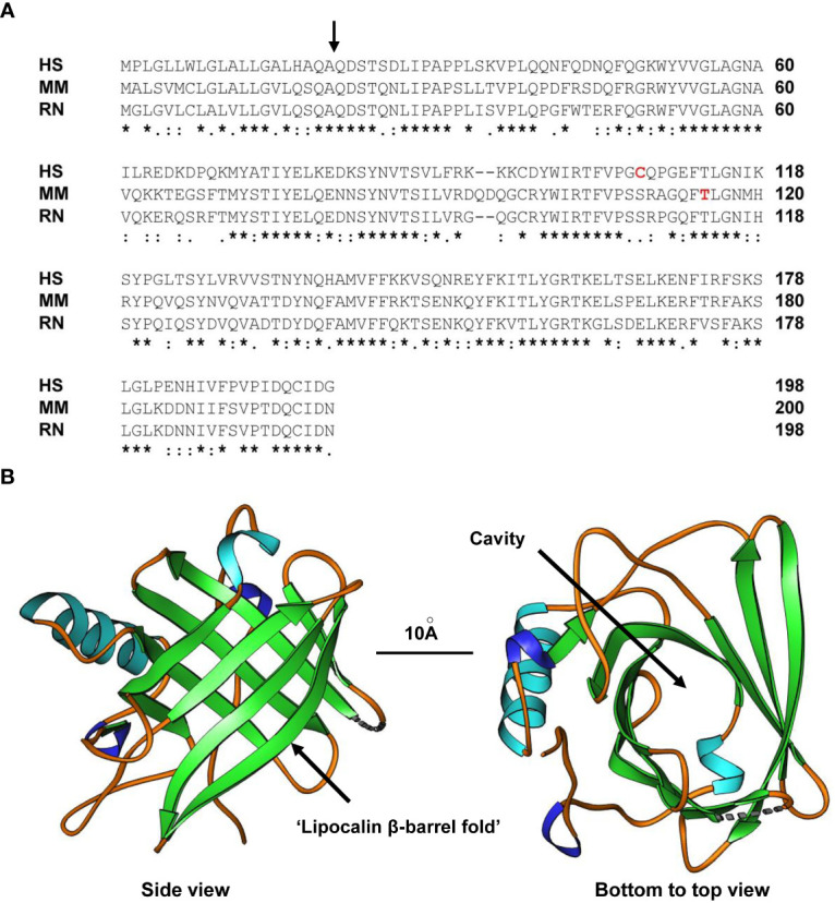 Figure 1