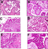 Fig. 10