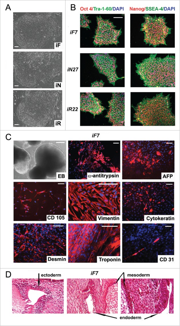 Figure 3.