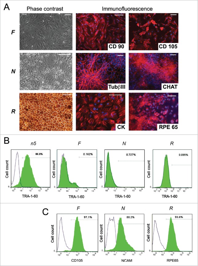 Figure 2.