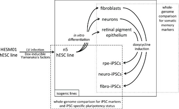 Figure 1.