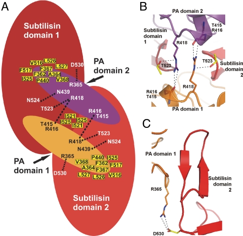 Fig. 3.