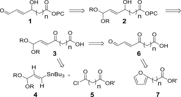 Scheme 2