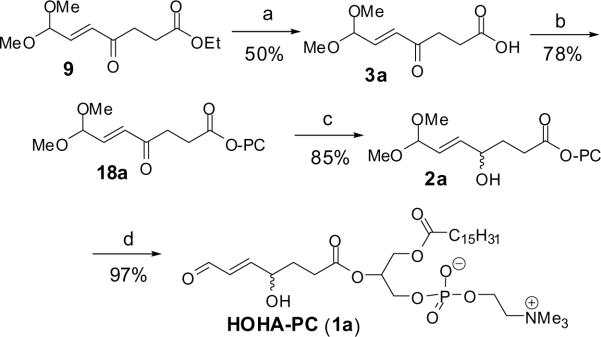 Scheme 5