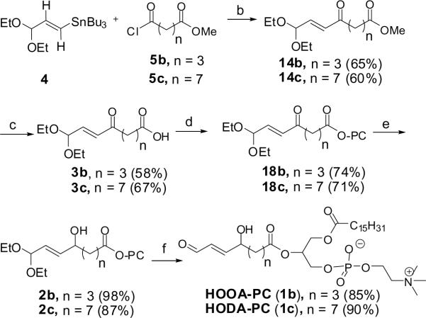 Scheme 6