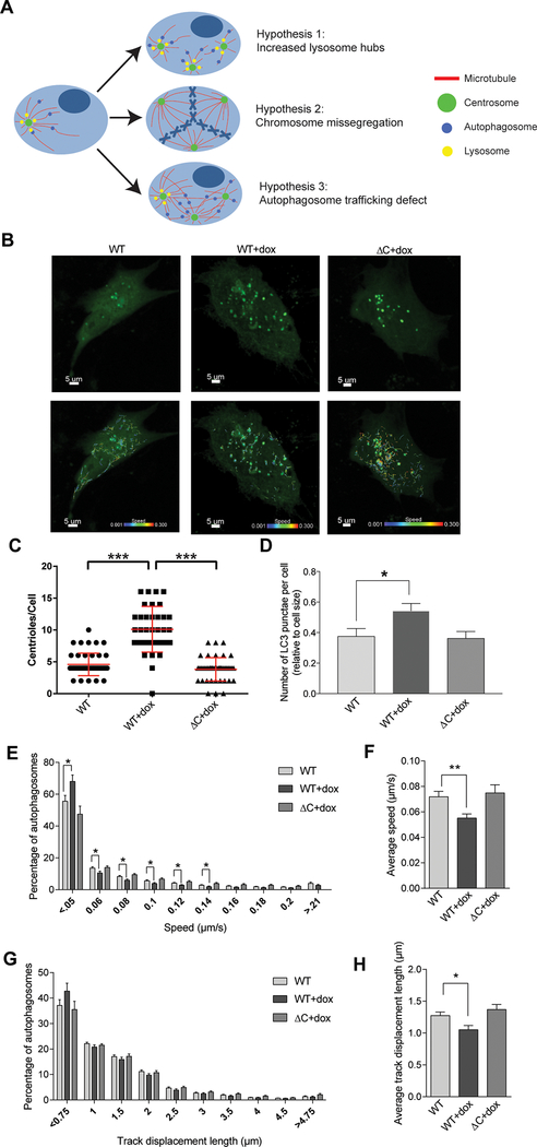 Figure 4: