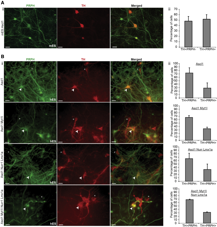 Figure 2